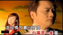 谁能帮我把闽南歌曲,男人情女人心的歌词,用普通话翻译一下,就是能
