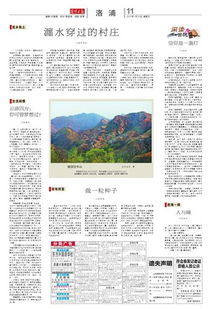 四方云游什么意思
