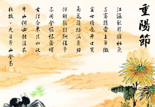 重阳节的诗句有哪些