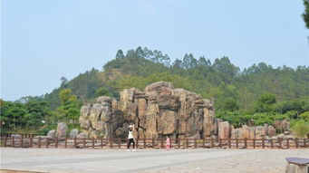 武汉龟山公园要门票吗