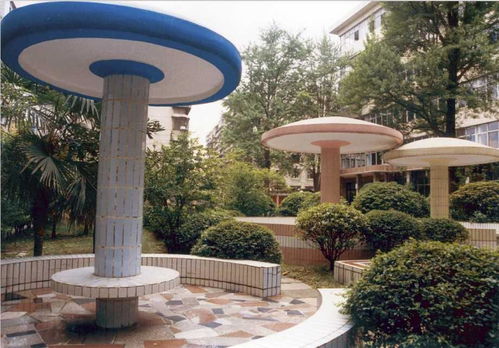 贵阳幼儿师范学校中专有什么专业，贵阳幼儿师范学校分数线