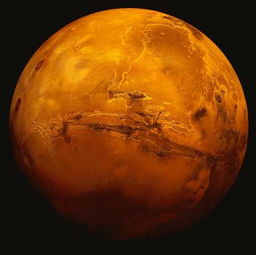 猫武士火星的资料，火星的资料简介50字