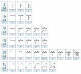 办笔顺怎么写