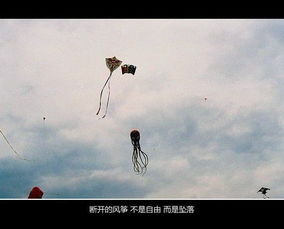 我不能悲伤地坐在你身旁吉他谱，我不能悲伤地坐在你身旁小说瑶一瑶