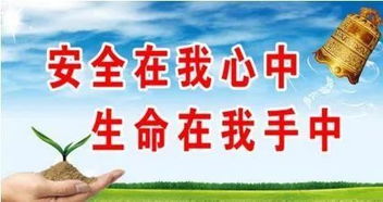 安全教育文章1000字，安全教育文章600字作文