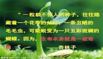 生命生命ppt免费下载，生命生命阅读理解答案