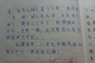 随笔600字初中夏天暑假，随笔600字初中作文
