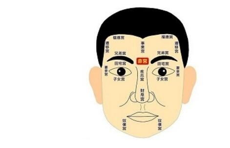 风水相师六生，风水相师龙生与静雯小说免费阅读