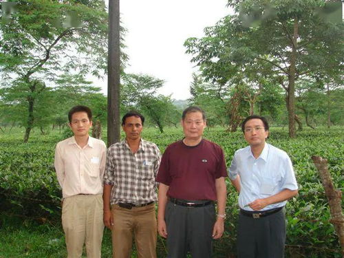 [爬开,滚开,闪开]用日语怎么说