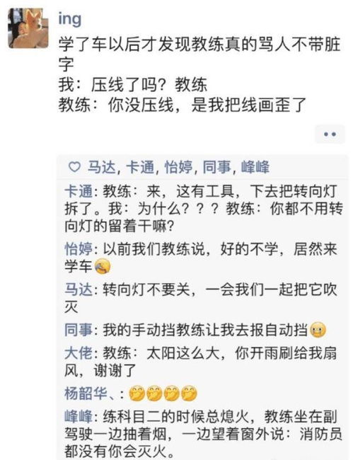 12是什么意思