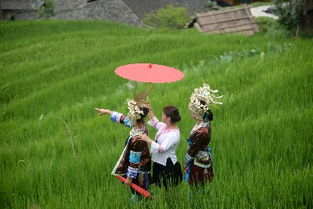 祭日是什么意思?