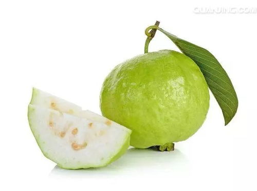 jackfruit乐队，jackfruit可数吗