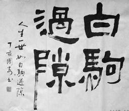 白驹过隙的意思是什么