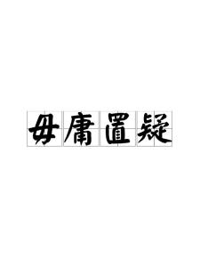 “毋庸置疑”的意思是什么?
