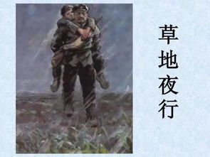 草地夜行朗诵，草地夜行主要内容