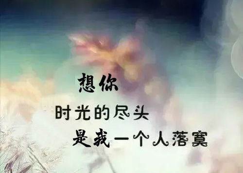 有一首歌,歌词里好像是这么唱的!留住你的人却留不住你的心