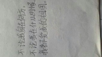 不论不论造句怎么造四年级，不论不论造句子大全