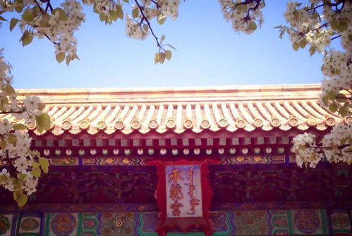 内廷东六宫之一的承乾宫,在清朝是都是给谁住的?