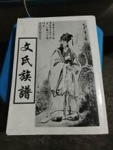 文姓男孩名字大全，文姓起源