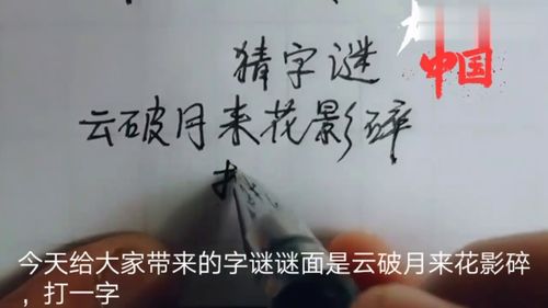 云破月来打一字谜底，云破月来花是指什么生肖