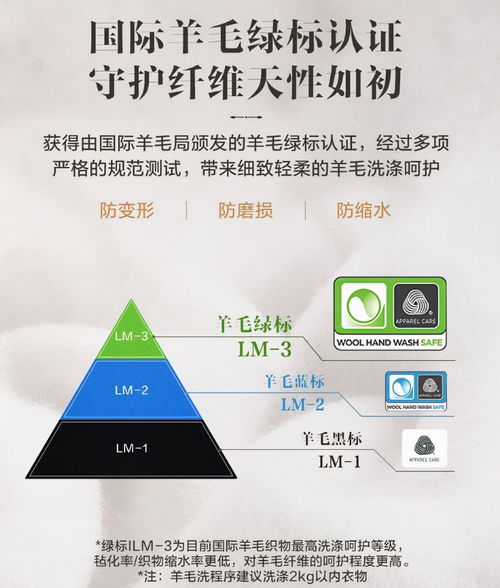 描绘的意思