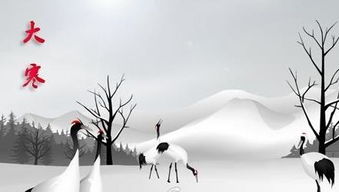 冬雪雪冬小大寒是什么意思，大寒是什么意思含义
