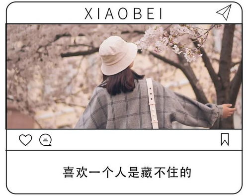 若不是生活所迫下一句