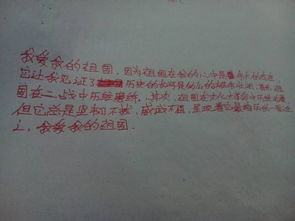 “ 总之 ”怎么造句
