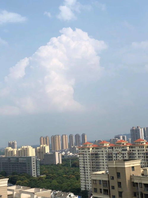 阜阳市颍上县于9月28日16时发布雷电黄色预警