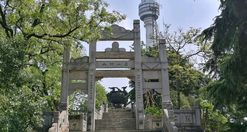 龟山公园简介，龟山公园几点关门