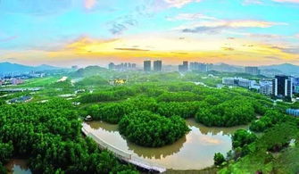 红树林公园停车预约，红树林公园要预约吗