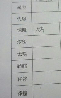 提高的同义词有哪些，提供的同义词替换有哪些