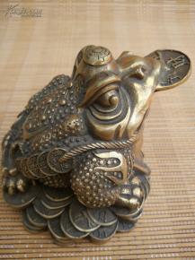 金蟾是什么动物?
