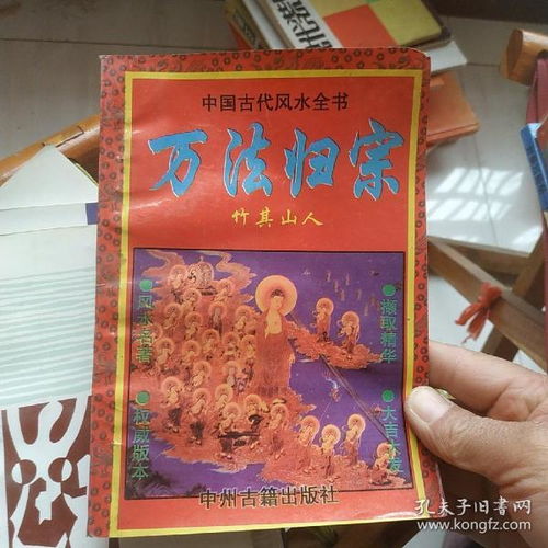 归宗长什么样