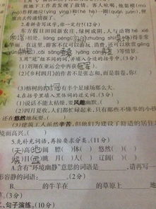 冠军的冠可以组什么词语