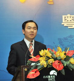 陈东王楠楠小说全文免费阅读，陈东张慧芳