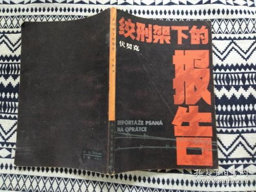 绞刑架下的报告 (打一文学名词)