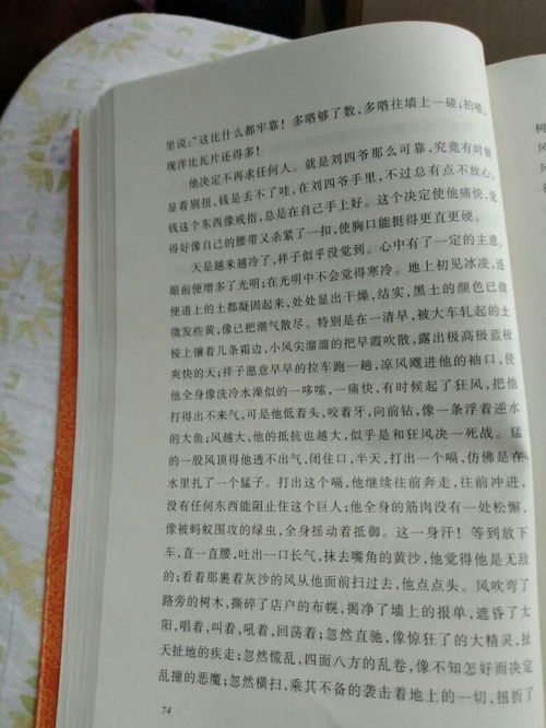 骆驼祥子第八章批注图片高清，骆驼祥子第八章批注每页一处