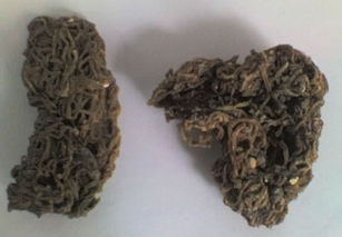 海粉是什么东西