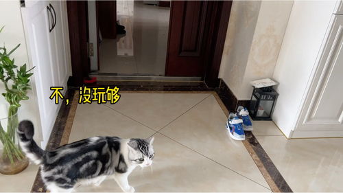 窜门是什么意思，窜门拼音怎么写的拼