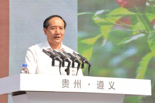 足坛上有哪些身高超过2米的中后卫?