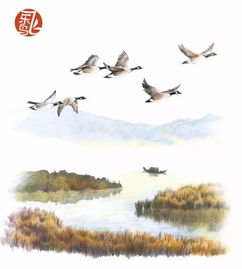 大雁南归还是北归，大雁南飞原唱王馨