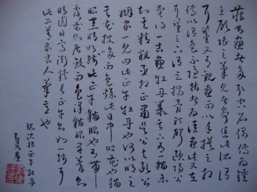 正午牡丹的翻译