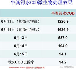 bod是什么意思人名，污水bod是什么意思