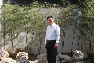 参见王爷什么梗