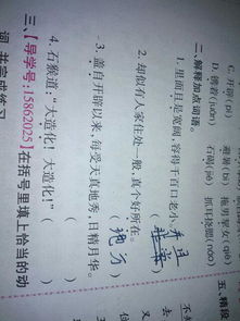 形态的近义词是不是外形?