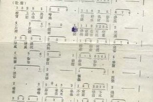 天下第一情原唱 天下第一情歌词介绍