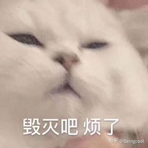 我晕表情包，我晕倒了