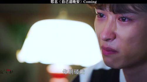 爱就爱了原唱陈琳，爱就爱我多一点 李玟