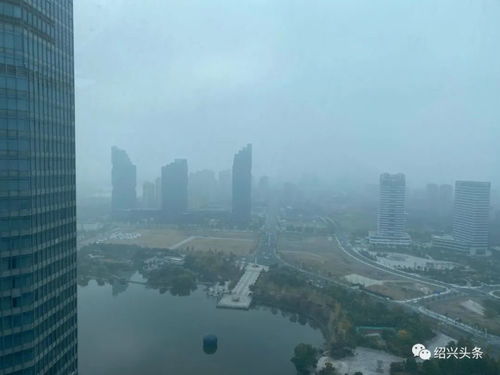 浙江绍兴天气预报7天查询，浙江绍兴天气预报15天查询百度地图下载